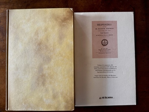 Hesperides ristampa - hesperides,