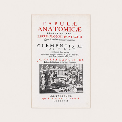 Tabulae anatomicae - tabulae, di